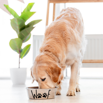 WooF Sticker