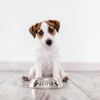 Pet Name Bone Özelleştirilebilir Sticker