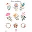 Flower Collection Sticker Seti A6