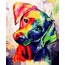 Sayılarla Boyama Tuval Seti - HY24102 (KÖPEK)