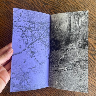 Yasak Orman / The Forbidden Woods
