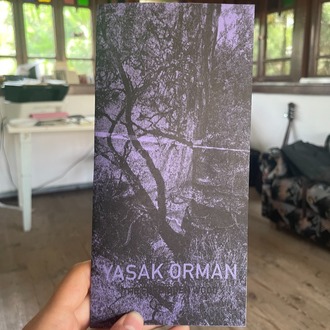 Yasak Orman / The Forbidden Woods