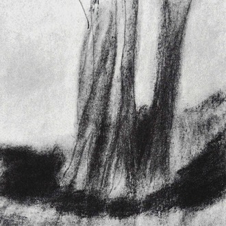 Ağaçlar / Trees
