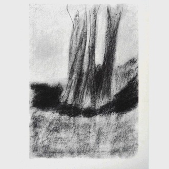 Ağaçlar / Trees