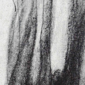 Ağaçlar / Trees