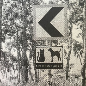 Yasak Orman / The Forbidden Woods