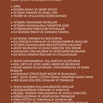 TERAPİ SEANS YAPILANDIRMA REHBERİ