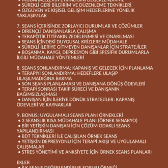 TERAPİ SEANS YAPILANDIRMA REHBERİ