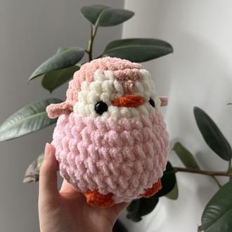 Pembe küçük boy penguen 