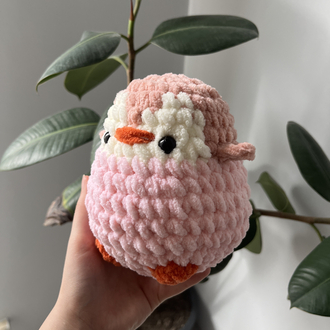 Pembe küçük boy penguen 