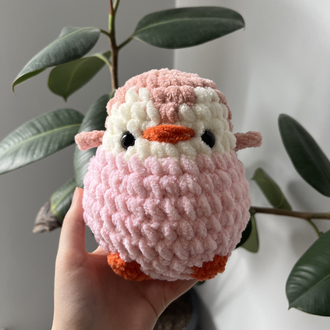 Pembe küçük boy penguen 