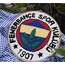 fenerbahçe panosu