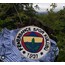 fenerbahçe panosu