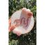 21,5cm Bebek/çocuk Odası Isimli Kapı Süsü/punch Nakis Duvar Panosu/bebek Hediyelik Hastane Kapı Süsü