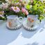 Ilkbahar