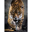 Clementoni ''Walk of the Jaguar'' 1000 Parça