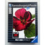 Ravensburger ''Hibiscus Flower-Gloss Effect'' 1000 Parça