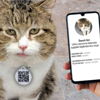 QR Kedi Fiziksel Kedi Karekodu Hazır Ürün