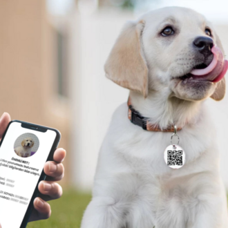 QR Köpek Fiziksel Köpek Karekodu Hazır Ürün