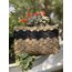Yelpaze motifle örülmüş şık clutch