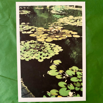 2’li film photo kartpostal set 