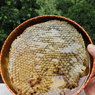 KaraKovan Petekli Bal 1,5  Kg