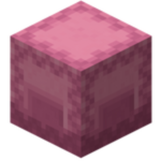 SHULKER KİT - satın alırken not kısmına oyun içi adınızı yazınız yoksa ürün gelmez.