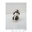 Hidden Treasure Ring