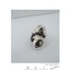 Hidden Treasure Ring