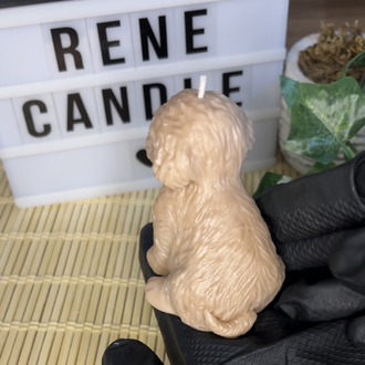 pofuduk köpek kokulu mum