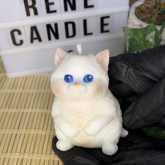 Maviş kedi kokulu mum