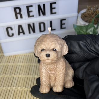 pofuduk köpek kokulu mum