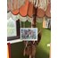 Pumpkin House / Kartpostal