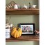 Pumpkin House / Kartpostal