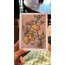 Lemon Garden / Kartpostal