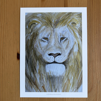 Leo / Kartpostal