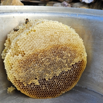 (2 KG) ÖRME SEPET KARAKOVAN BALI