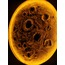 Moon Wall Decor