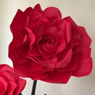 Scarlet Elegance