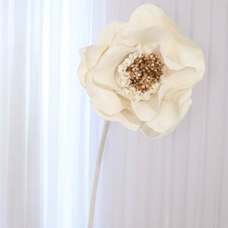 Ivory Petal