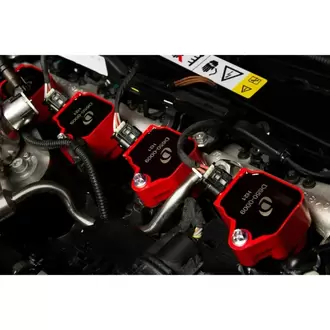 Dinan Bmw B-Series Performans Bobin D650-0009