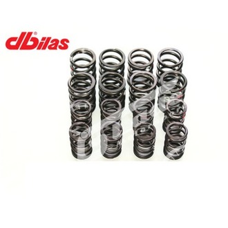 Dbilas VAG valf yayları kiti mekanik + hidro VW 1.5 - 2.0 Litre 8V 62.300.001