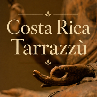 Costa Rica Tarrazú Washed – Single Origin Filtre Kahve | 250 g.