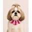 PawBow Flower Dog Collar (red lilac stripe)