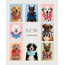 PawBow Flower Dog Collar (multicolour collection)