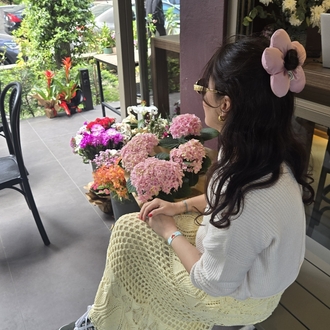 Mini Blooming Daisy (Babypink)