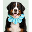 PawBow Flower Dog Collar (blue aqua stripe)
