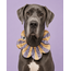 PawBow Flower Dog Collar (yellow grey stripe)