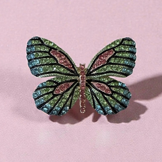 rainbow butterfly broş