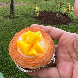 mango magnet 